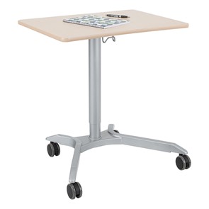 Sit-to-Stand Desks & Chairs